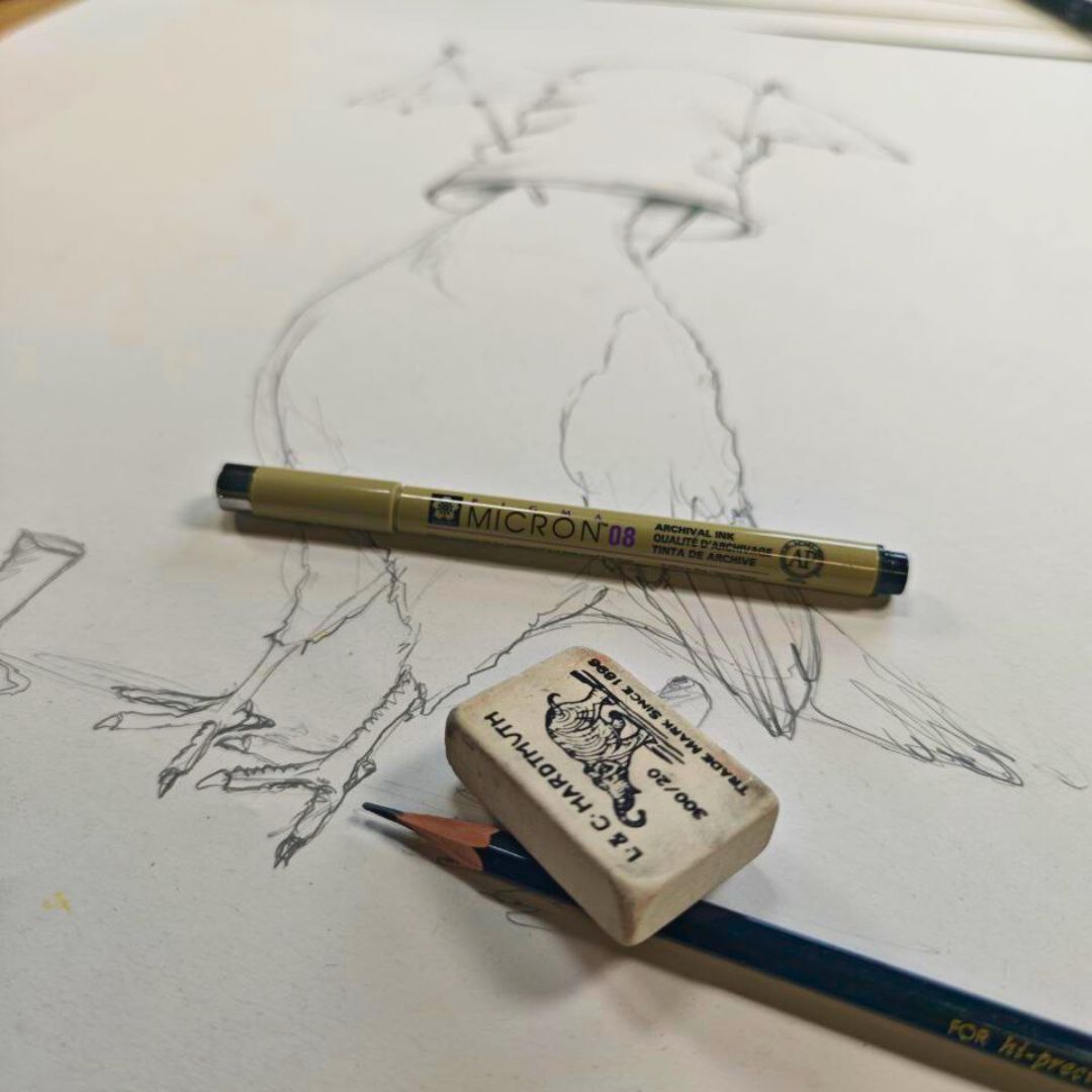 Volane Zeichenkurs Stadttaube zeichnen – online LIVEKURS