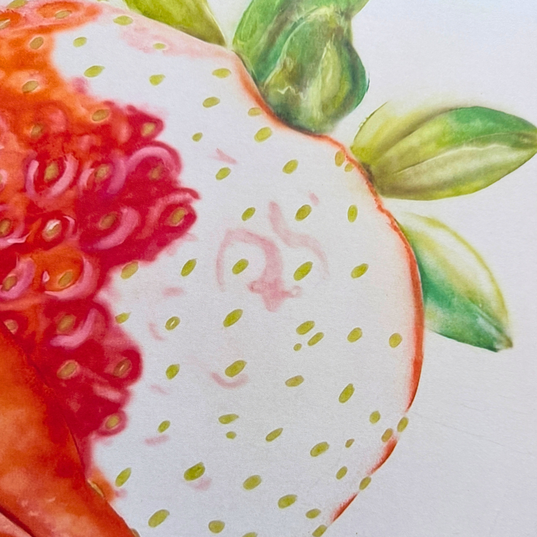 Fragaria