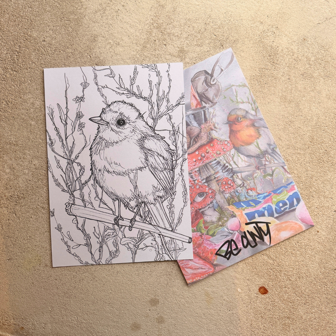 Kokelkehlchen Ausmalbild 2er Set